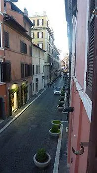 Rose In Rome